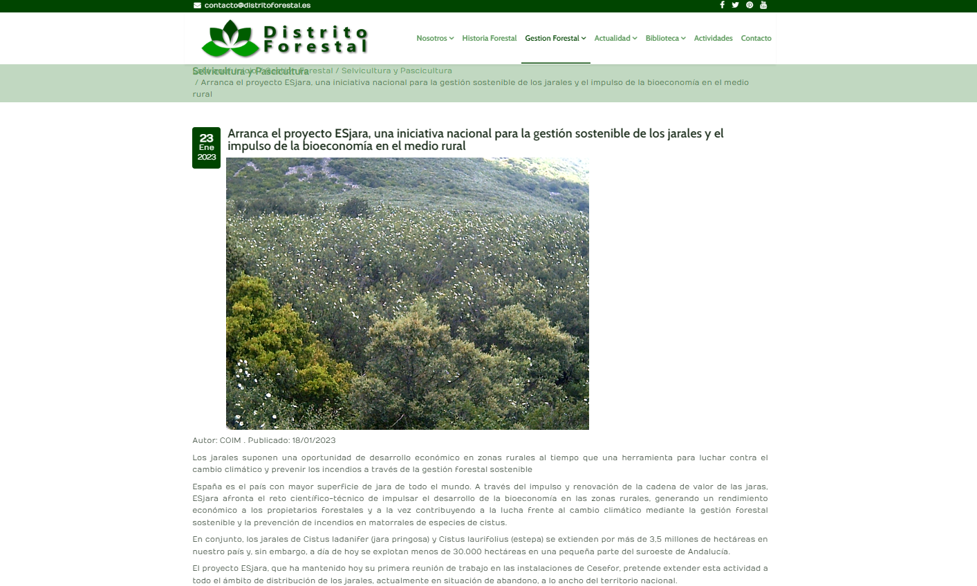 Distrito Forestal