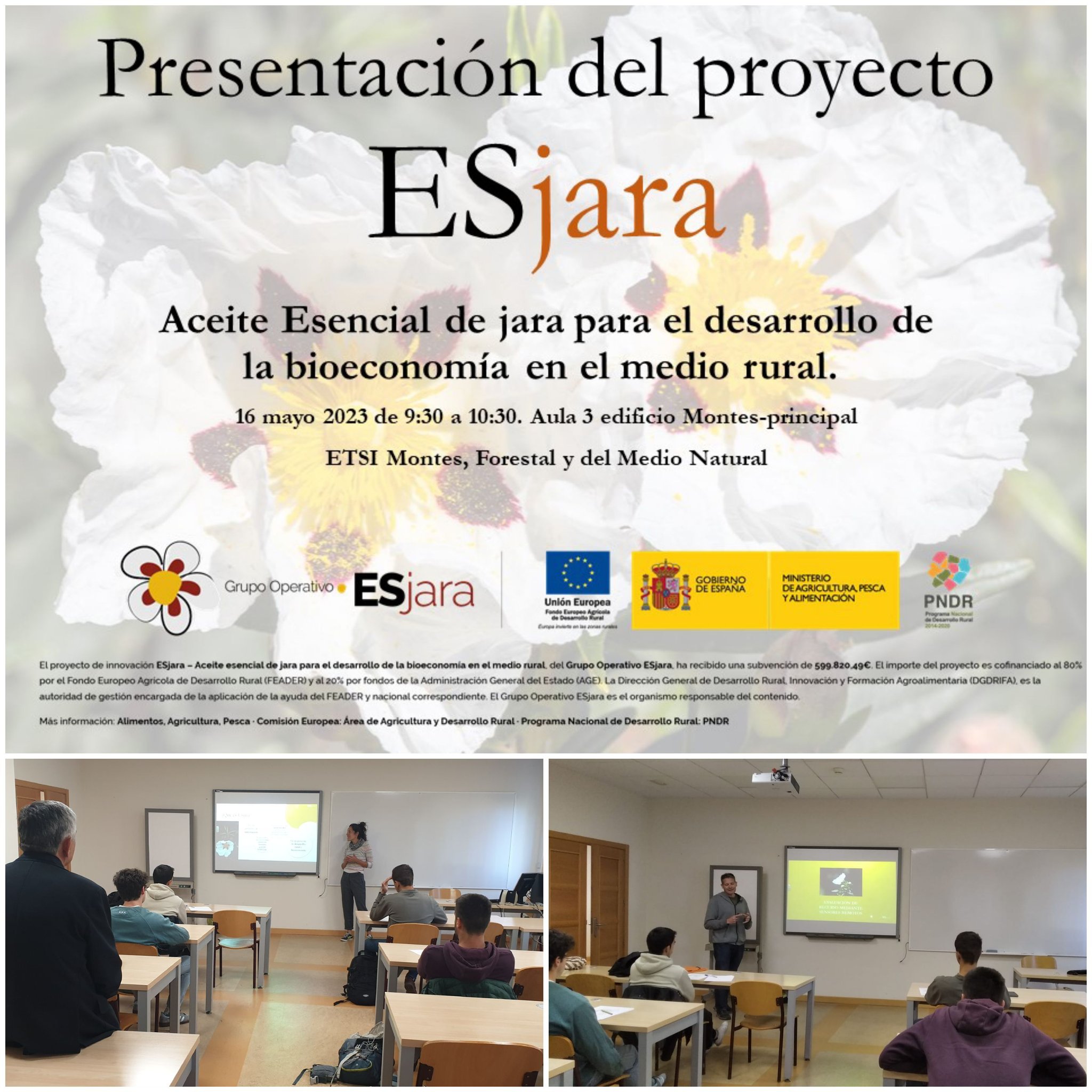 Presentación del proyecto 