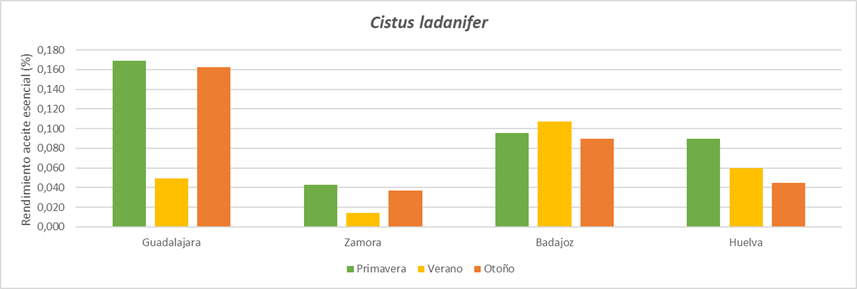 Gráfico resultados C. ladanifer