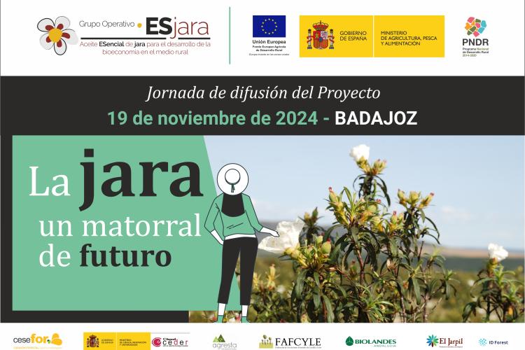 La jara un matorral con futuro en Badajoz