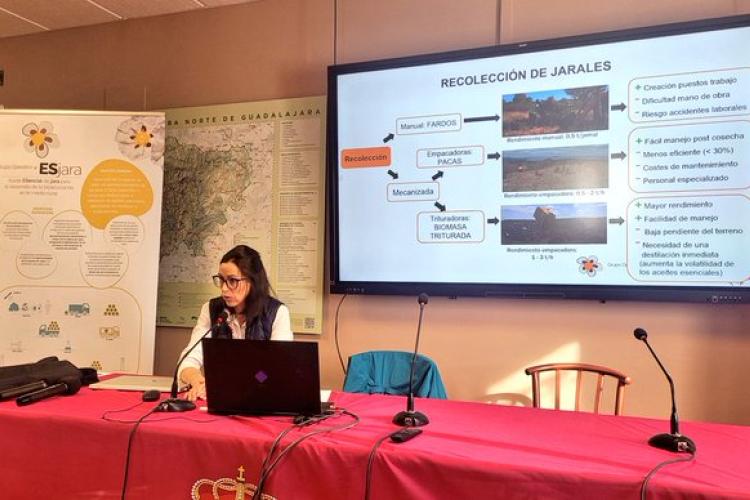 Presentación de resultados de cosecha